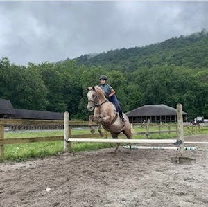 Meet your Posher, Holly